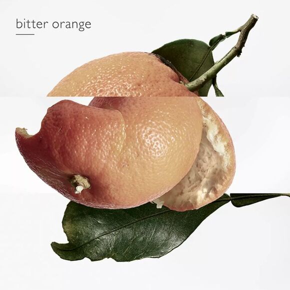 Eau De Merveilles by Hermes Eau De Toilette EDT Spray for Women 3.4 oz 100ml New - Picture 5 of 6